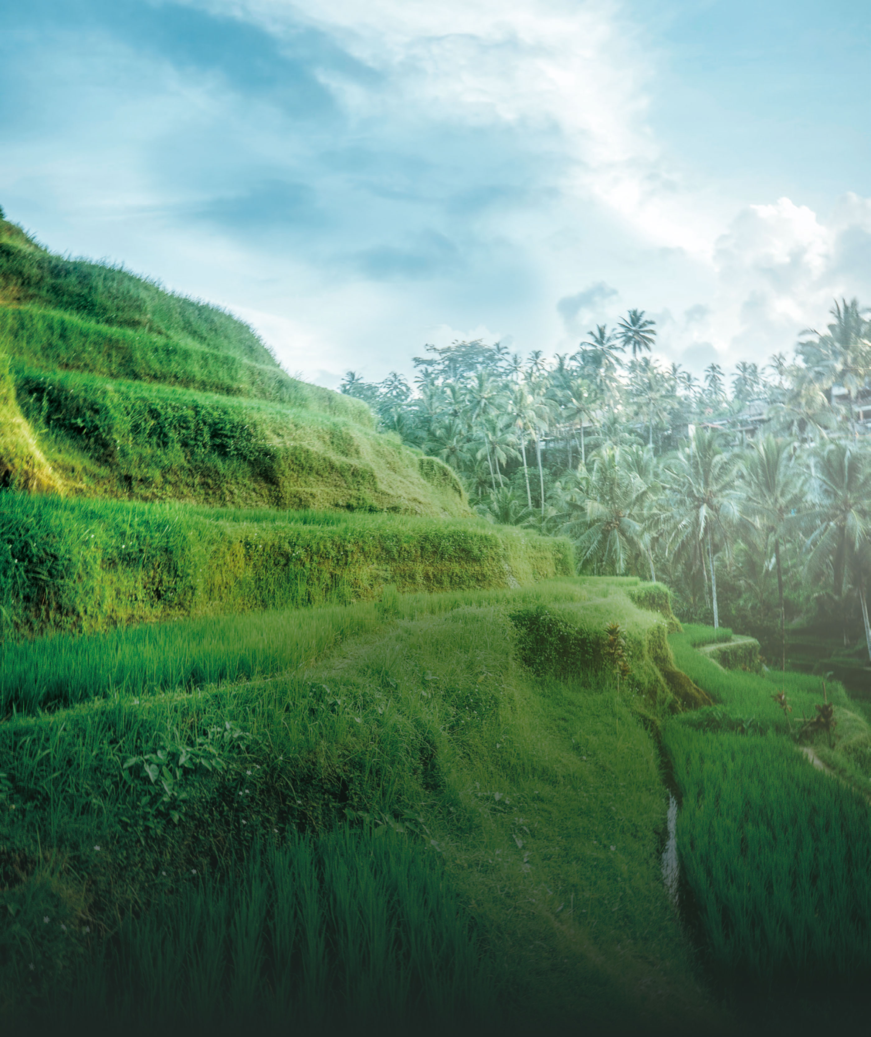 海外の自然風景