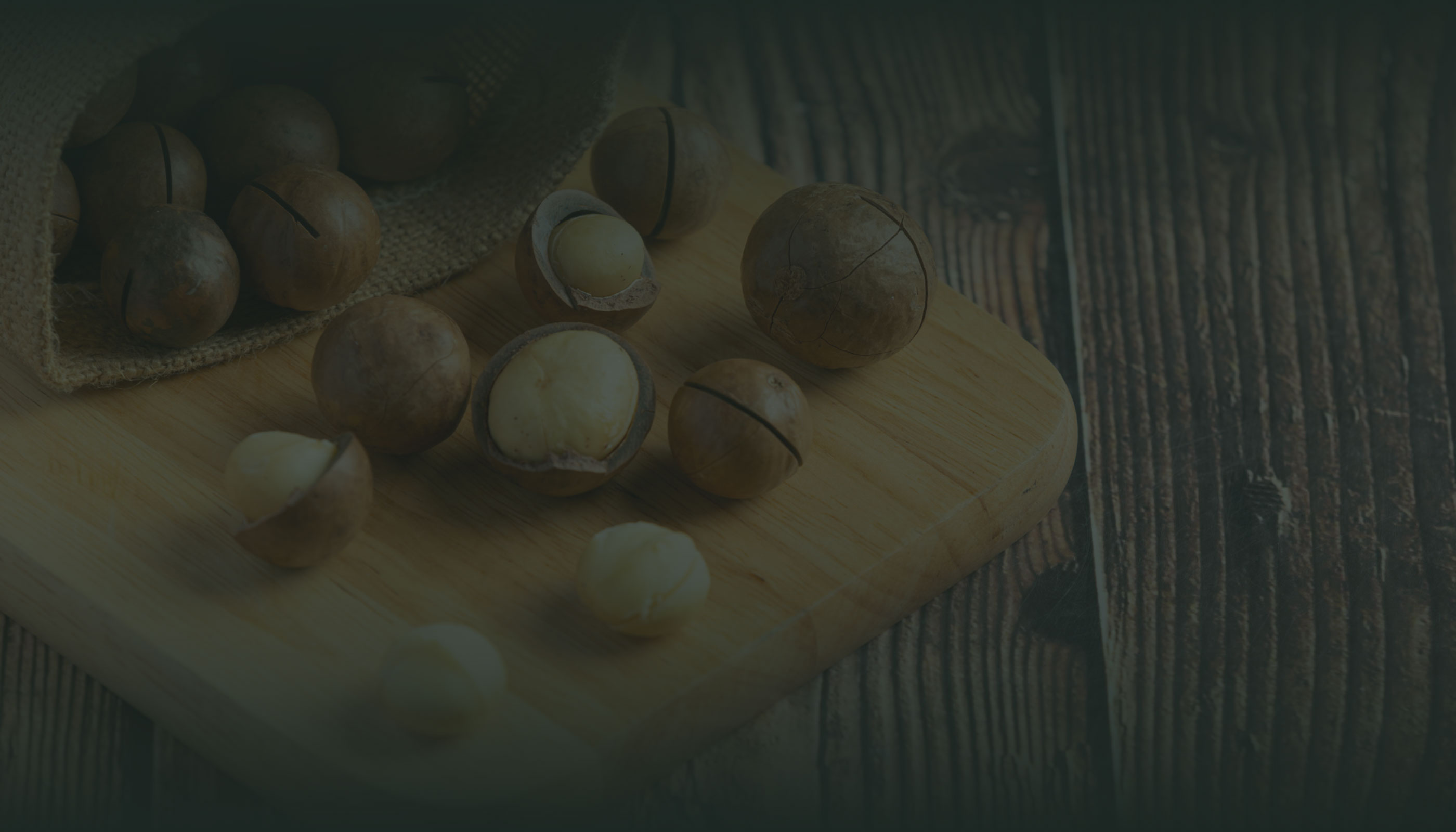 殻付きマカダミアナッツの風景