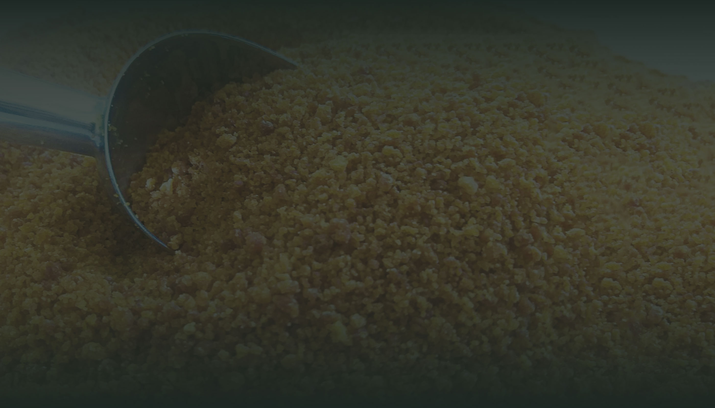 パームシュガー