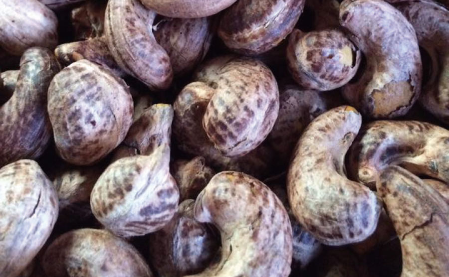 絶品ローストカシュ-03