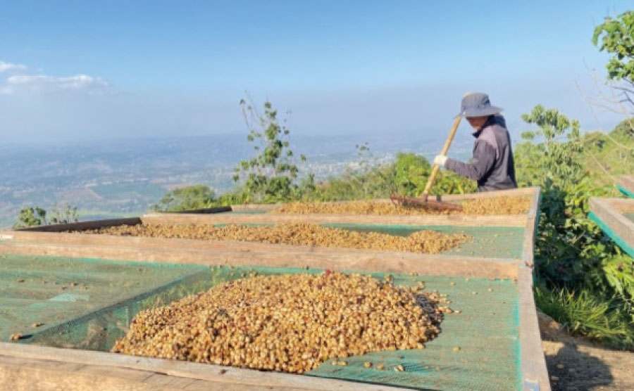 丁寧に作られた高品質なコーヒー01